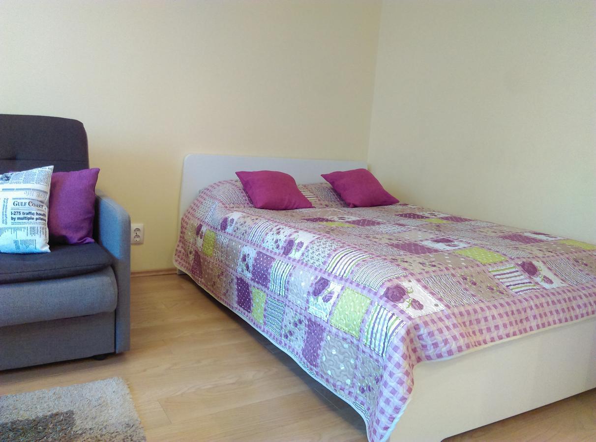 Gina'S Apartment Partizanu G Kaunas Luaran gambar